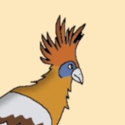 hoatzin